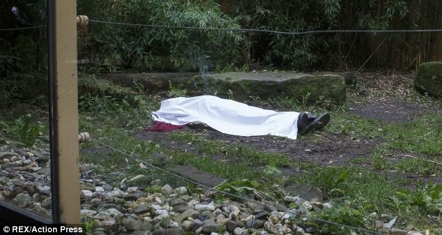 Τίγρης κατασπάραξε υπάλληλο ζωολογικού κήπου μπροστά στους επισκέπτες