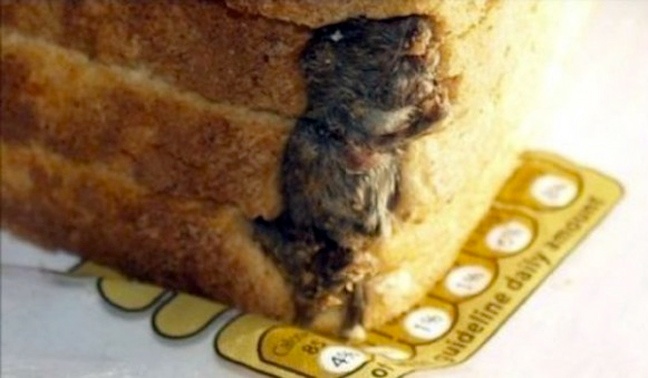 Θα σας κοπεί η όρεξη: Ό,τι πιο αηδιαστικό έχει βρεθεί σε φαγητό! (pics