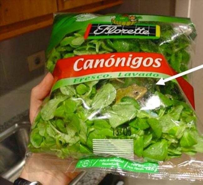 Θα σας κοπεί η όρεξη: Ό,τι πιο αηδιαστικό έχει βρεθεί σε φαγητό! (pics