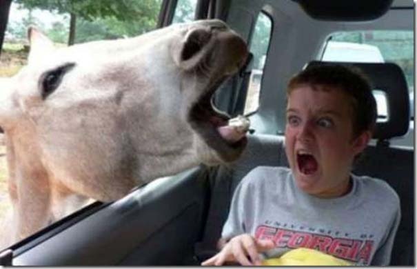 Πανικός σε 3… 2…1…