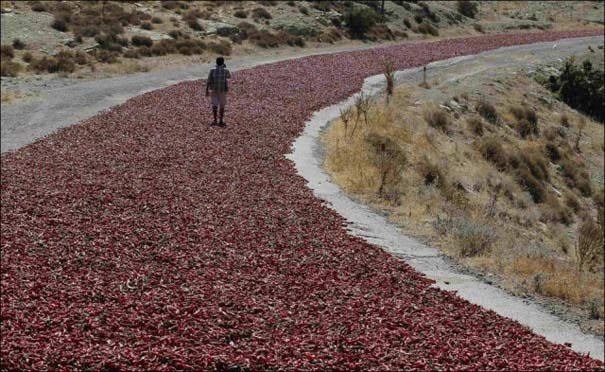 Απίστευτο: Δείτε γιατί είναι κόκκινος αυτός ο δρόμος