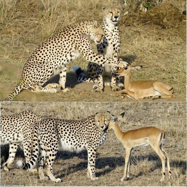 15 φωτογραφίες που θα σε κάνουν να κλάψεις!