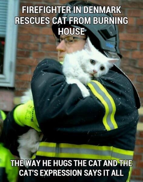 15 φωτογραφίες που θα σε κάνουν να κλάψεις!