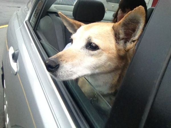 15 φωτογραφίες που θα σε κάνουν να κλάψεις!