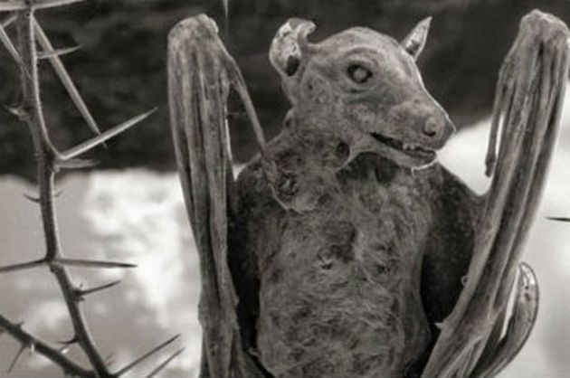 Και όμως υπάρχει: Δείτε τη λίμνη του θανάτου!