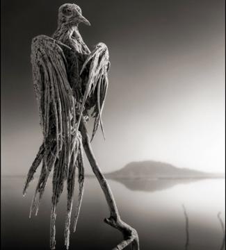 Και όμως υπάρχει: Δείτε τη λίμνη του θανάτου!