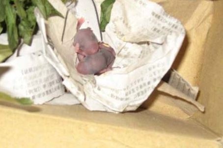 ΑΠΙΣΤΕΥΤΟ: Δείτε τι βρήκε μέσα στην μοτοσυκλέτα του; (Photos)