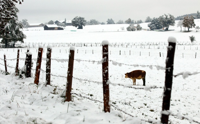 Γερμανία: Χειμωνιάτικος καιρός με πυκνό χιόνι (pics)