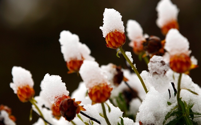 Γερμανία: Χειμωνιάτικος καιρός με πυκνό χιόνι (pics)
