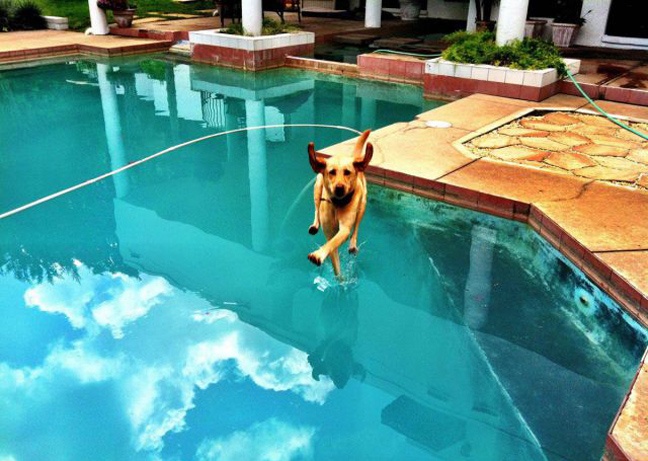 Απίθανες φωτογραφίες τραβηγμένες την κατάλληλη στιγμή (pics)