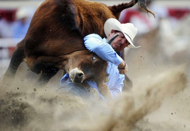 Απίθανες φωτογραφίες τραβηγμένες την κατάλληλη στιγμή (pics)