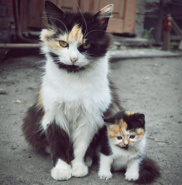 Εκπληκτικές φωτογραφίες που δεν πρέπει να χάσετε! 