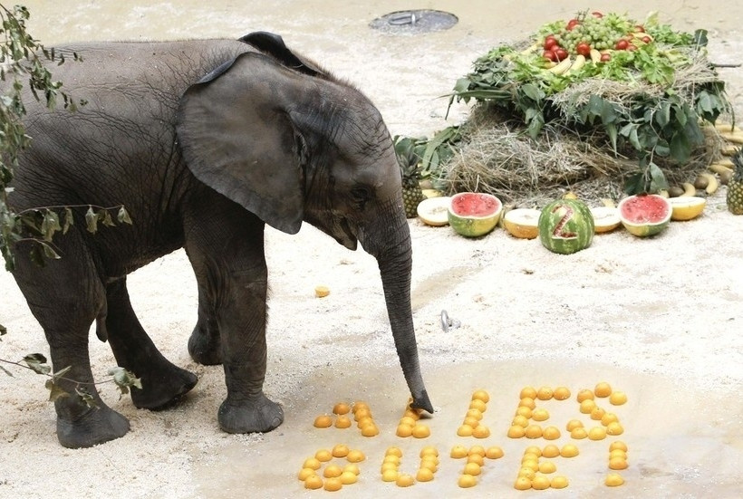 Εκπληκτικές φωτογραφίες που δεν πρέπει να χάσετε! 