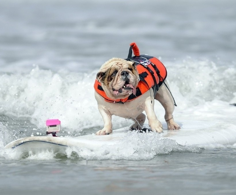 Εκπληκτικές φωτογραφίες που δεν πρέπει να χάσετε! 