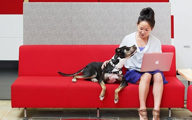 Δείτε τα εντυπωσιακά γραφεία του youtube