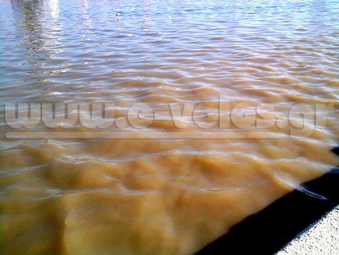 Περιβαλλοντικό έγκλημα στο Βόλο-Η ΔΕΥΑΜΒ μετέτρεψε το λιμάνι σε βούρκο