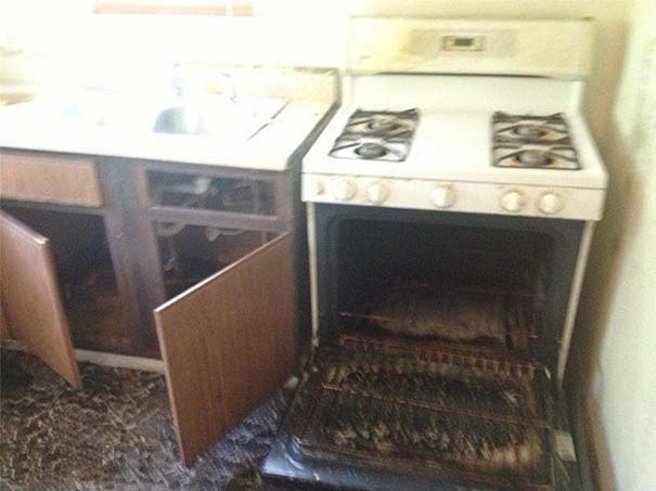 Τραγικές φωτογραφίες από αγγελίες ακινήτων (pics)