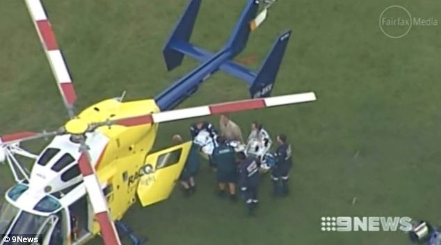 Εικόνες-ΣΟΚ: Τίγρης δάγκωσε εκπαιδευτή στο λαιμό