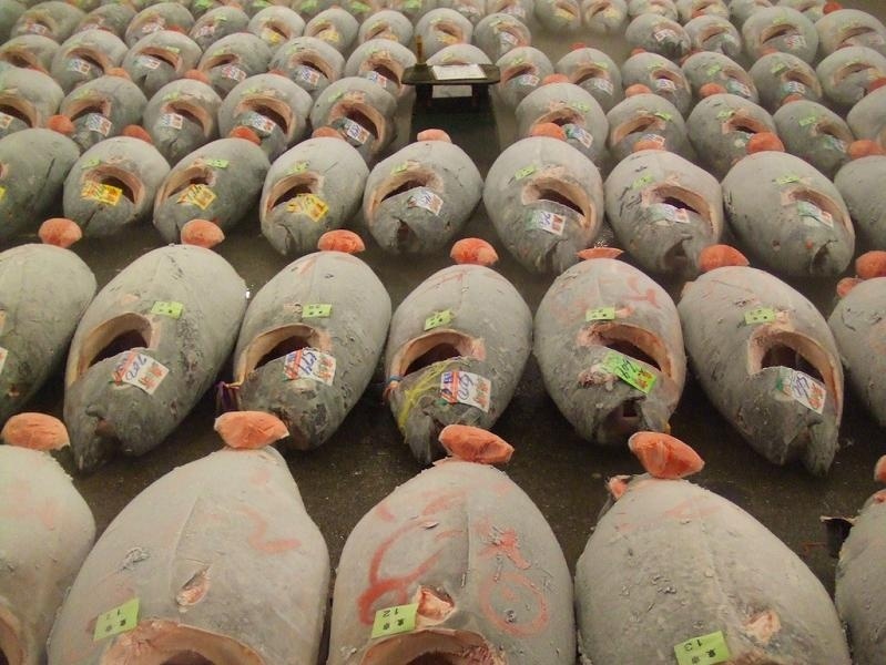 Δείτε τη μεγαλύτερη ψαραγορά του κόσμου (pics)