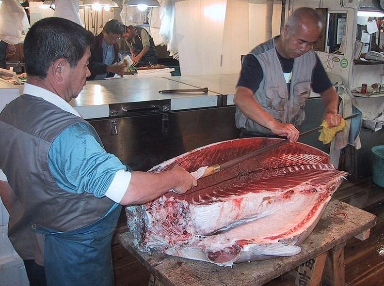 Δείτε τη μεγαλύτερη ψαραγορά του κόσμου (pics)