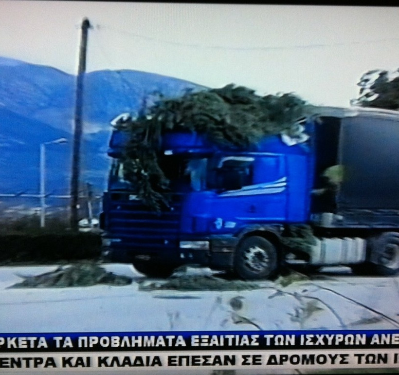 Γιάννενα: Δέντρο έπεσε πάνω σε φορτηγό (pics)