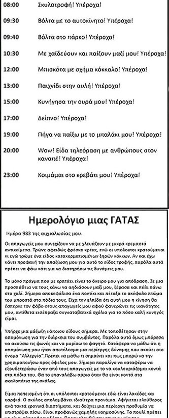 Το ημερολόγιο ενός σκύλου και μιας γάτας - Όλες οι κρυφές τους σκέψεις