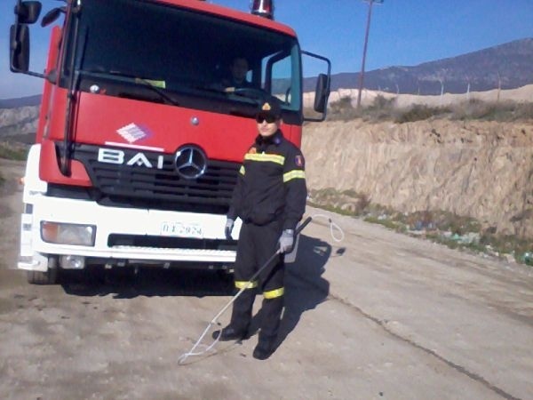 Λαμία: Δείτε που σφήνωσε το κεφάλι του σκύλου (pics)