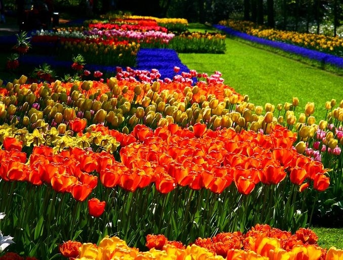 Δείτε φωτογραφίες από το μεγαλύτερο κήπο