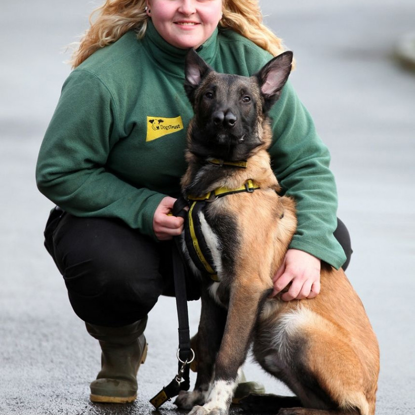 Ο σκύλος με τις... δυο μύτες που ξετρέλανε το διαδίκτυο!