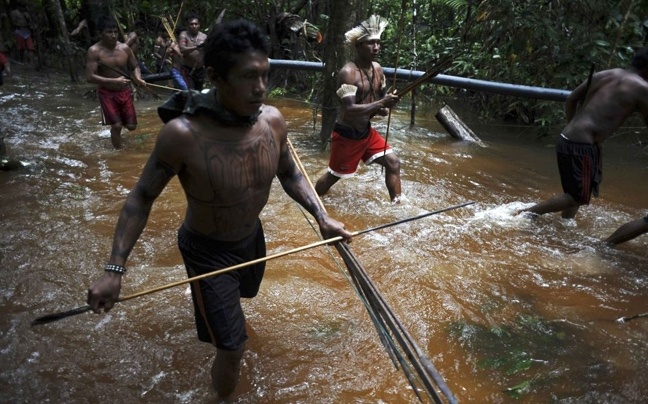 Αυτοί είναι οι «φύλακες» του Αμαζονίου (pics)
