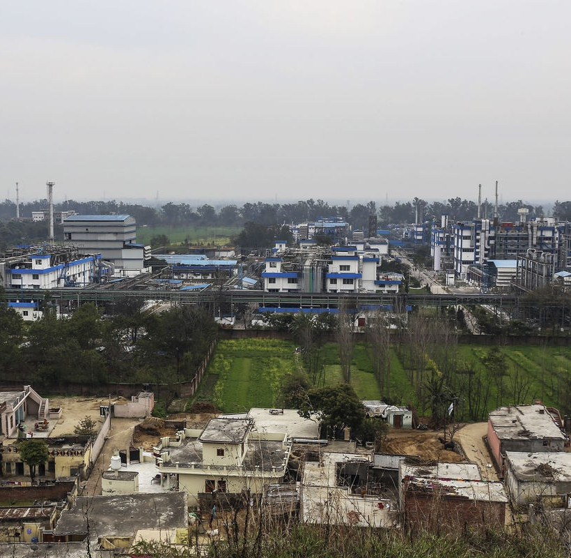 Κοπριά και μύγες στην παραγωγή φθηνών γενόσημων 