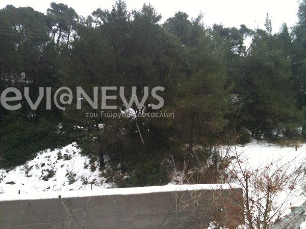 Εύβοια: Στα λευκά ντύθηκαν τα ορεινά της Στενής (pics)