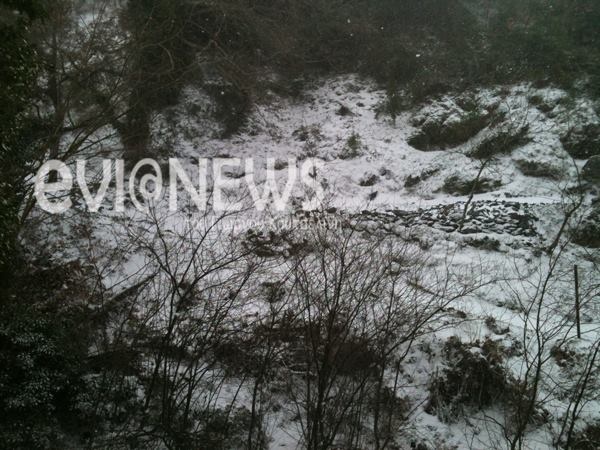 Εύβοια: Στα λευκά ντύθηκαν τα ορεινά της Στενής (pics)