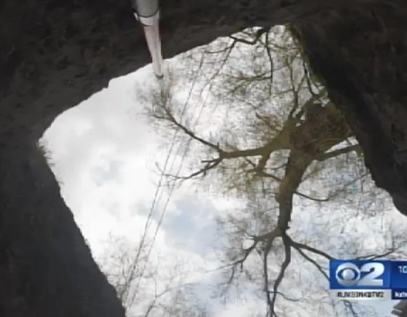 Γιούτα: Έσκαβε στην πίσω αυλή και ανακάλυψε έναν... (photos)