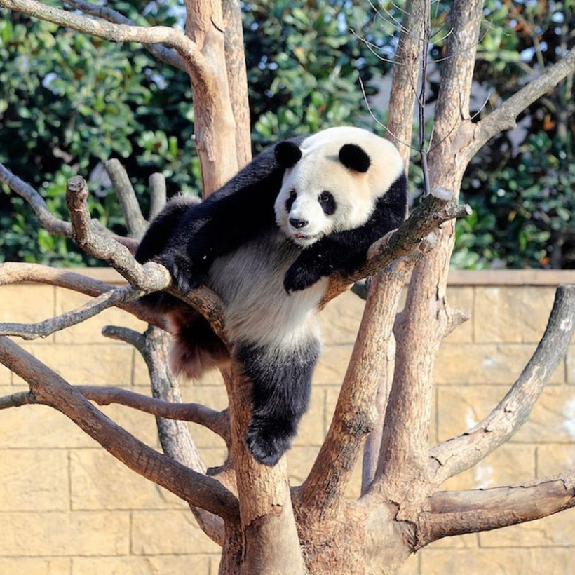 Μυθικά θαλάσσια τέρατα στο Μεξικό! (video+photos)