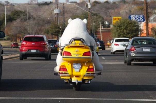 Πέντε αστείες φωτογραφίες που αν δεν τις δεις, δεν τις πιστεύεις! 