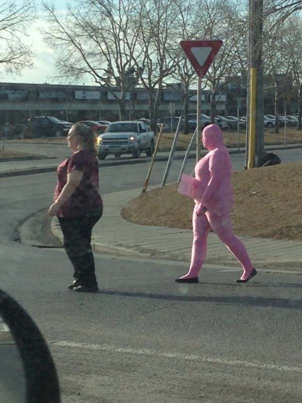 Πέντε αστείες φωτογραφίες που αν δεν τις δεις, δεν τις πιστεύεις! 