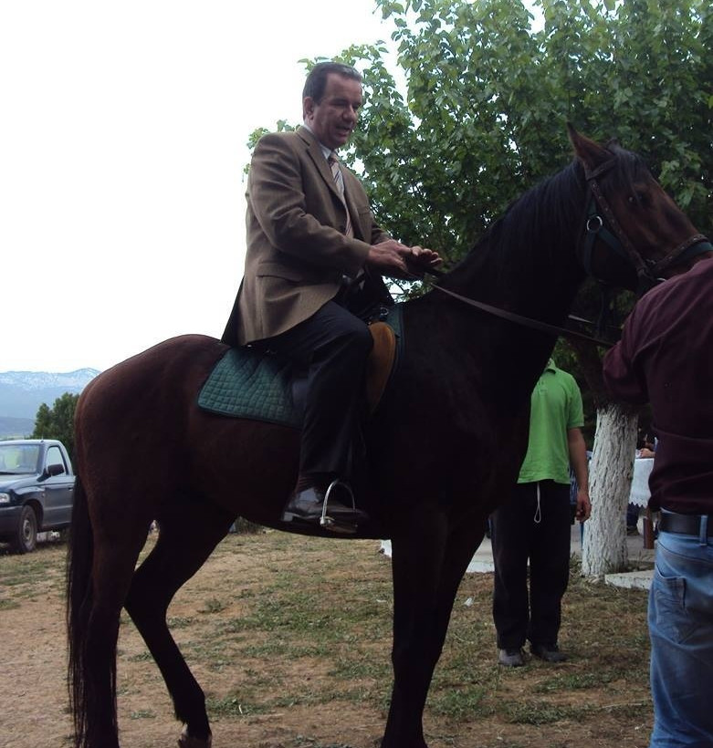 Χαλκίδα: Τα άλογα που έκαναν μικρούς και μεγάλους να παραμιλούν