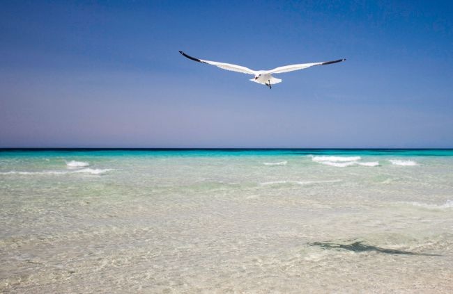 Οι άγνωστοι θησαυροί της Μεσογείου (pics)