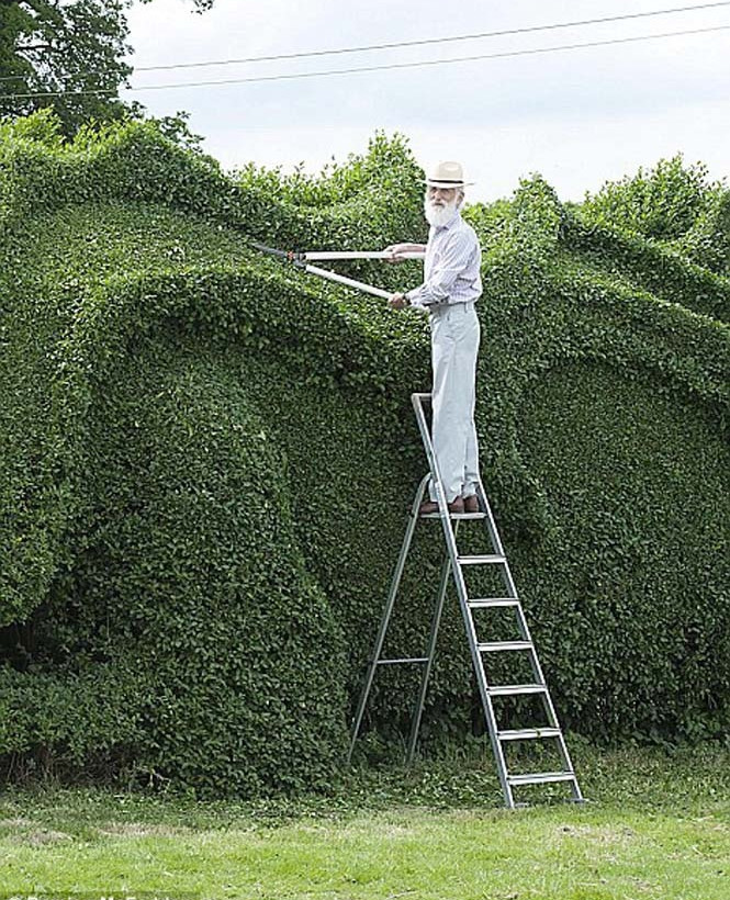 Έχει αφιερώσει 10 χρόνια στη φροντίδα του φράχτη του… Δείτε τι δημιούργησε!
