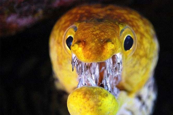 Σμέρνα βγαλμένη από εφιάλτη (pics)