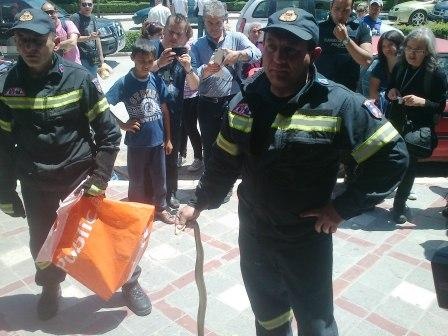 Επιχείρηση «φίδι» στο κέντρο των Ιωαννίνων