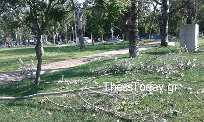 Πάρκο για... σλάλομ στην παραλία της Θεσσαλονίκης
