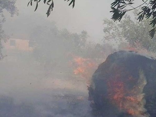 Φωτιά ξέσπασε σε χωράφι στην Πρέβεζα