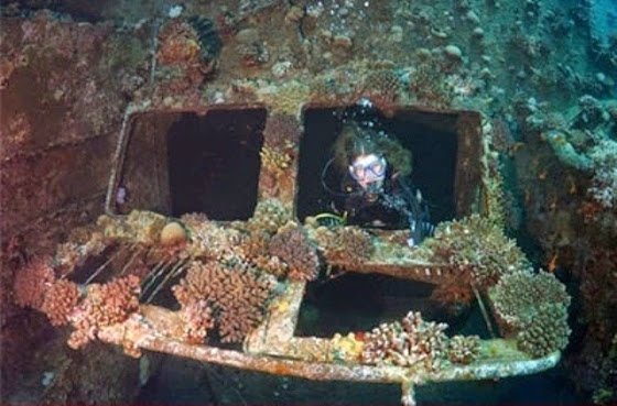 Ναυάγιο ελληνικού πλοίου «παράδεισος» για τους δύτες στην Ερυθρά Θάλασσα