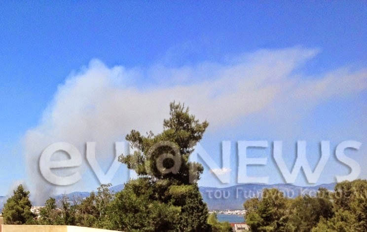 Εύβοια: Μεγάλη φωτιά στα Πολιτικά 