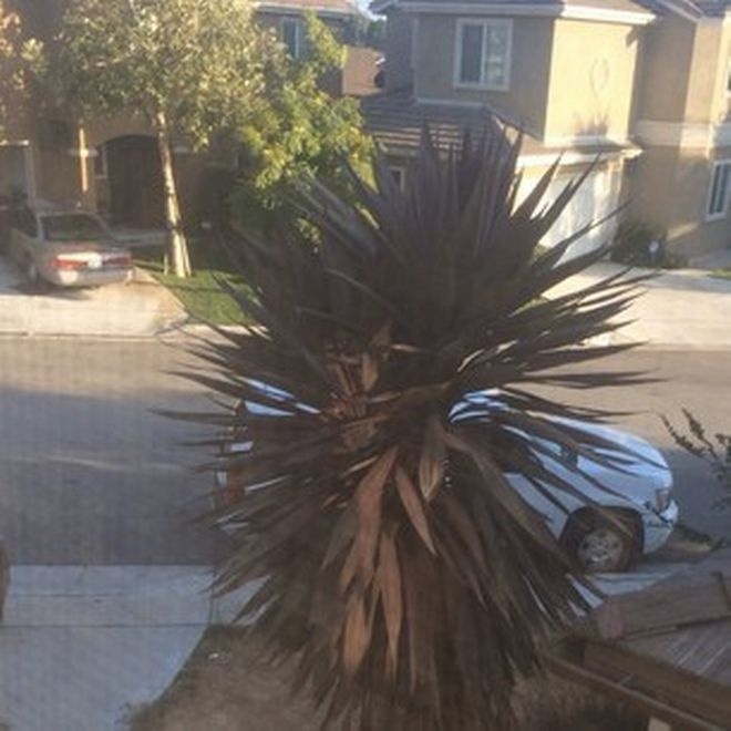 Έστειλε κατά λάθος γυμνή φωτογραφία στον πατέρα της και δείτε τι έγινε! (pics)