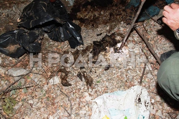 Ρόδος: Ελαφοκυνηγοί πέταξαν σακούλες με ελαφίσιο κρέας για να μην εντοπιστούν
