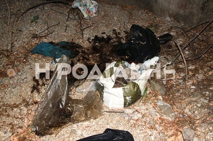 Ρόδος: Ελαφοκυνηγοί πέταξαν σακούλες με ελαφίσιο κρέας για να μην εντοπιστούν