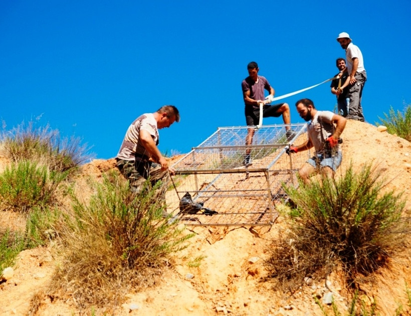 Crete: Operation to capture Sifis, the crocodile (photos)